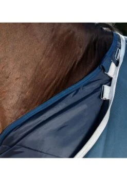 Amigo AmECO 12 Plus Turnout 100g Lite - Teal/Grey -Equi Guard Horse Shop amecoplusturnout2rdy