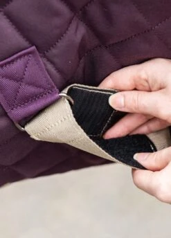 Amigo Stable Plus Medium Disc - Fig 6 Amigo Stable Plus Medium Disc - Fig -Equi Guard Horse Shop amgostableplus2rdy