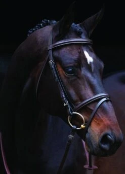 Amigo Bridle - Brown