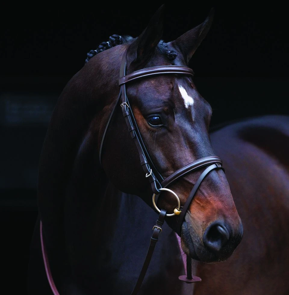 Amigo Bridle - Brown 3 Amigo Bridle - Brown - Image 3