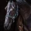 Amigo Headcollar - Black/Teal