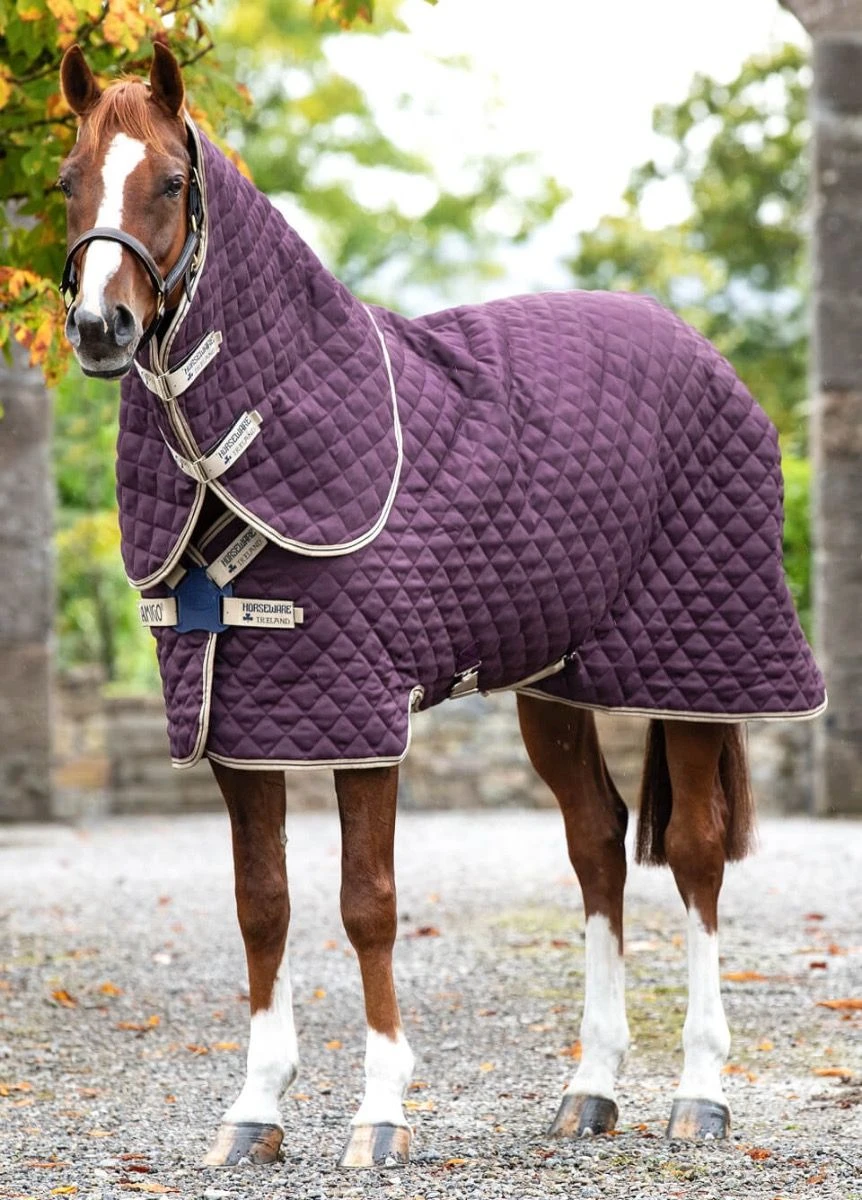 Amigo Stable Plus Medium Disc - Fig 1 Amigo Stable Plus Medium Disc - Fig