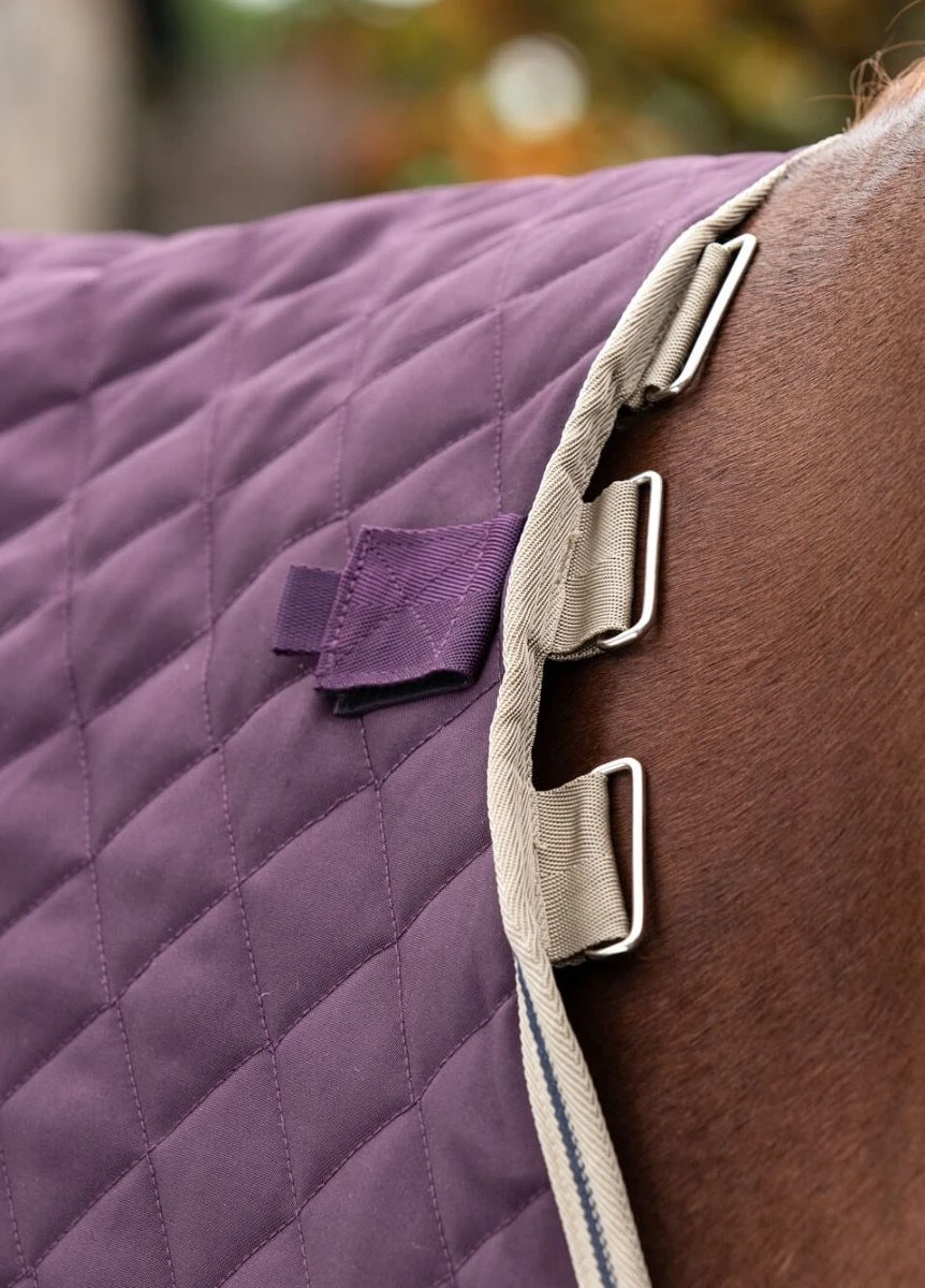 Amigo Stable Plus Medium Disc - Fig 4 Amigo Stable Plus Medium Disc - Fig - Image 4