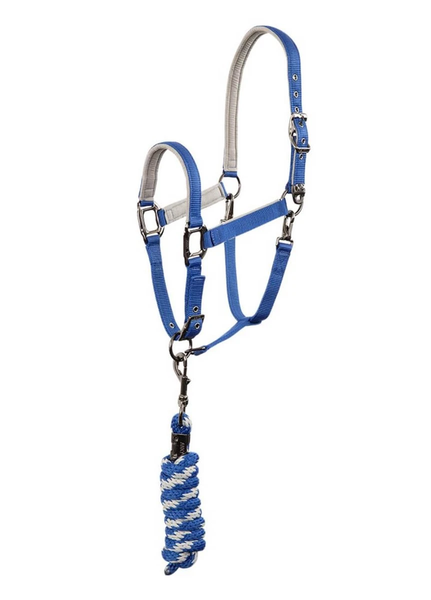 Anky Halter & Lead - Queens Blue 1 Anky Halter & Lead - Queens Blue