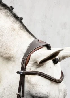 PS Of Sweden Athens Bridle - Brown -Equi Guard Horse Shop athensbrn2rdy