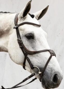 PS Of Sweden Athens Bridle - Brown -Equi Guard Horse Shop athensbrn3rdy