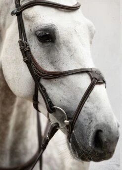 PS Of Sweden Athens Bridle - Brown -Equi Guard Horse Shop athensbrn5rdy