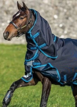 Amigo Bravo Plus 50g Turnout Bundle - Dark Navy/Electric Blue -Equi Guard Horse Shop bravobundledetailrdy