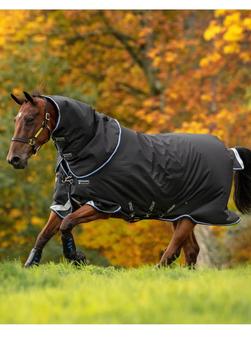 Amigo Bravo 12 Plus Medium Turnout - Black/Strong Blue & Black 1 Amigo Bravo 12 Plus Medium Turnout - Black/Strong Blue & Black