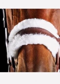Collegiate ComFiTec Sheepskin Bridle - Brown -Equi Guard Horse Shop brownsheep3