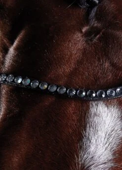 Collegiate Comfitec Crystal Training Bridle - Brown -Equi Guard Horse Shop collcrystal