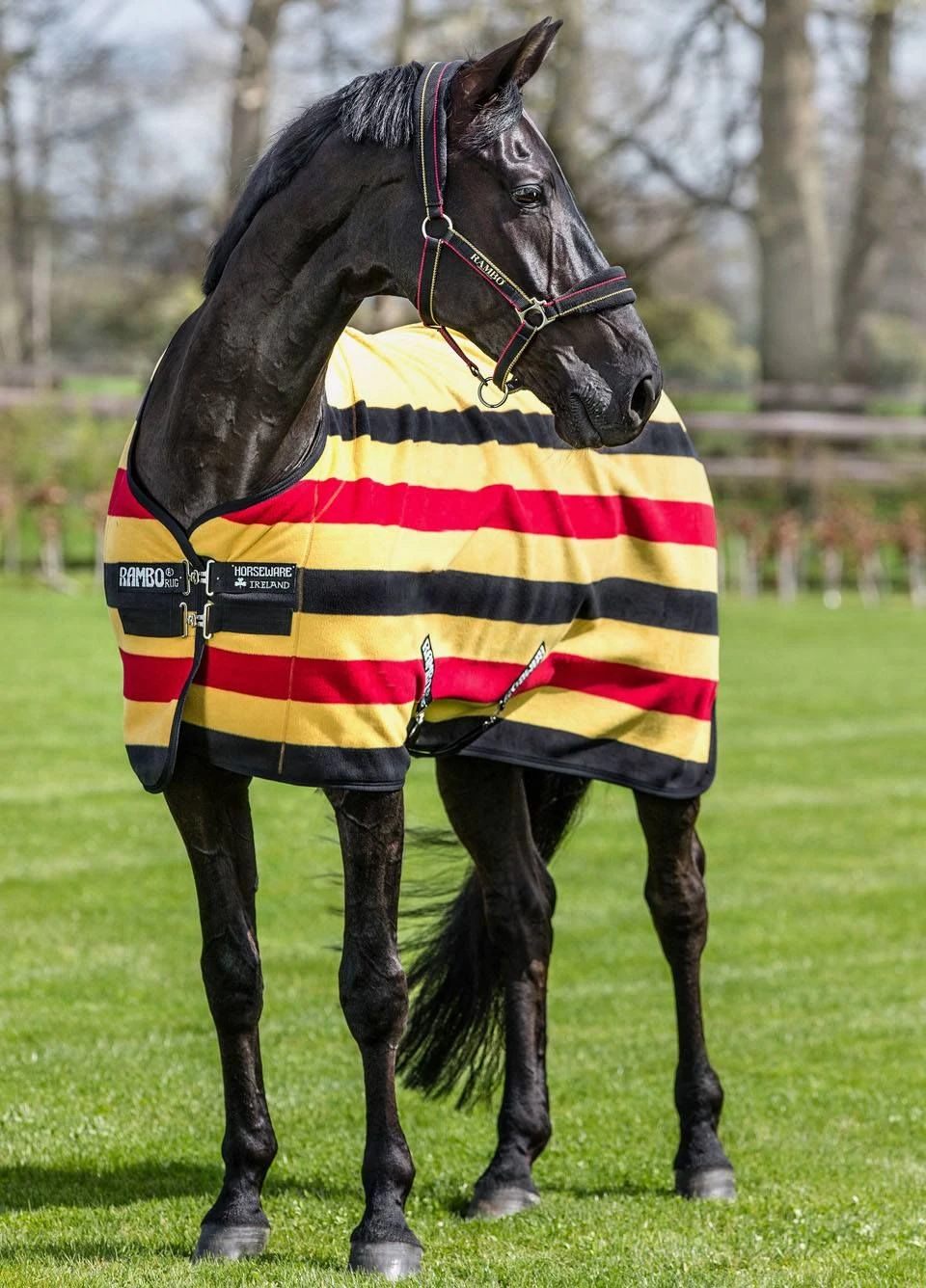 Rambo Deluxe Fleece - Witney Gold Stripe 1 Rambo Deluxe Fleece - Witney Gold Stripe