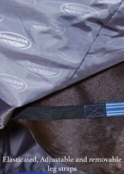 Weatherbeeta ComFiTec Plus Dynamic Combo Medium Turnout - Purple/Black -Equi Guard Horse Shop elasticated removable and adjustablelegstraps 2