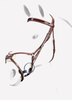 Equipe Grackle Bridle - BR33 - Brown