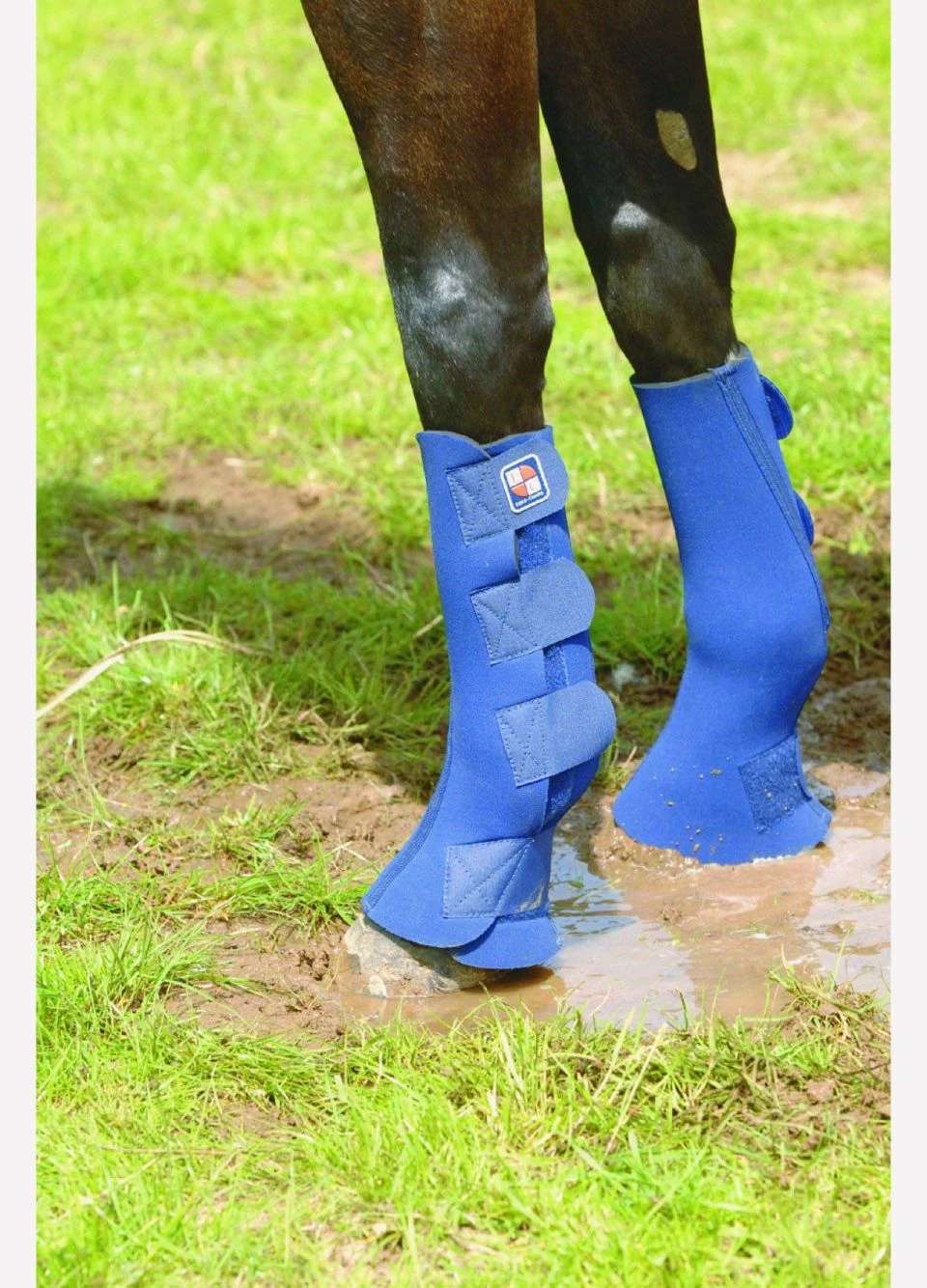 Equi-Chaps Hardy Chaps - Navy 1 Equi-Chaps Hardy Chaps - Navy