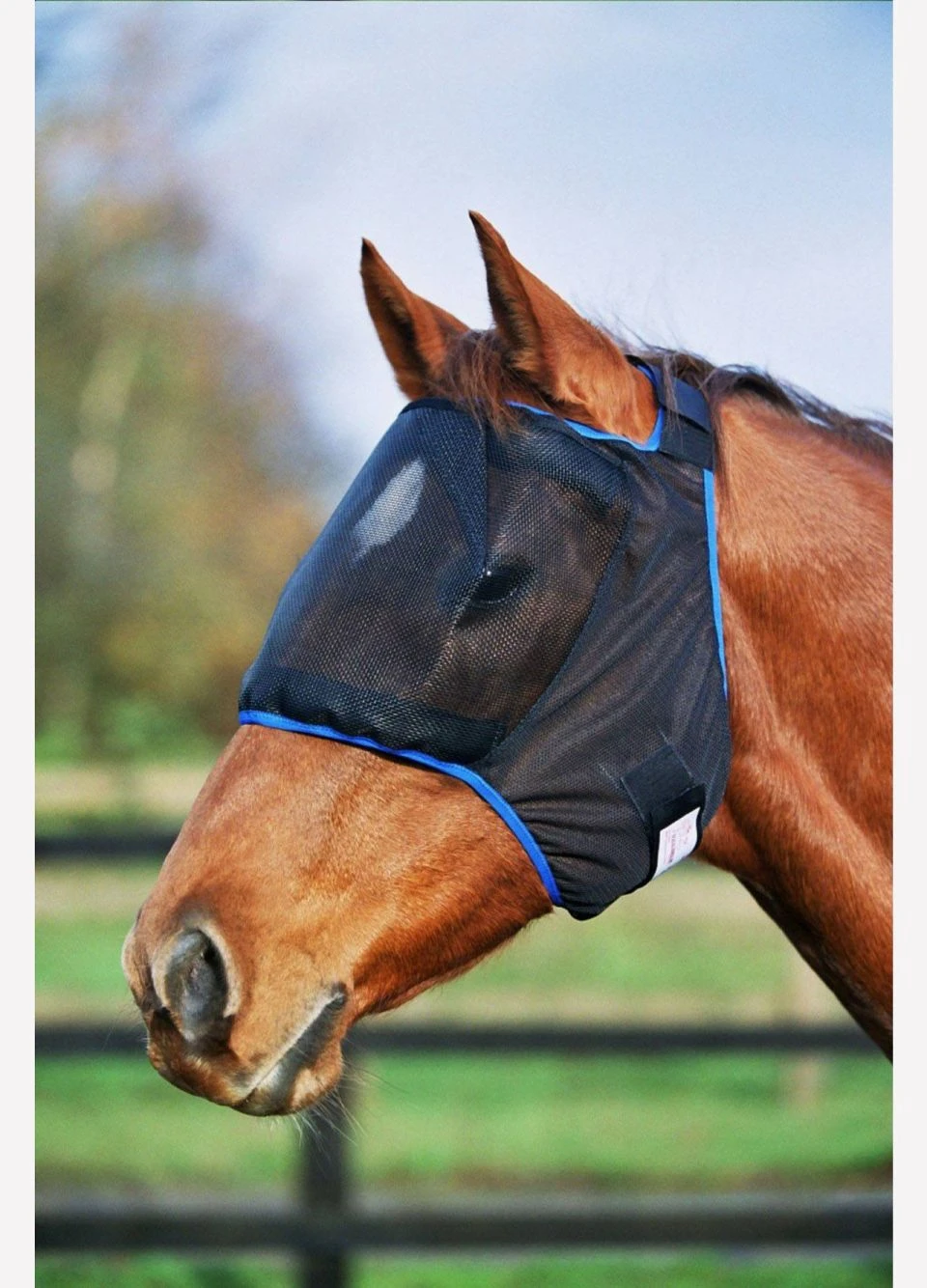 Equilibrium Field Relief Midi Fly Mask (without Ears) - Black 1 Equilibrium Field Relief Midi Fly Mask (without Ears) - Black