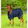 Amigo Foal Turnout/Stable Rug - Navy