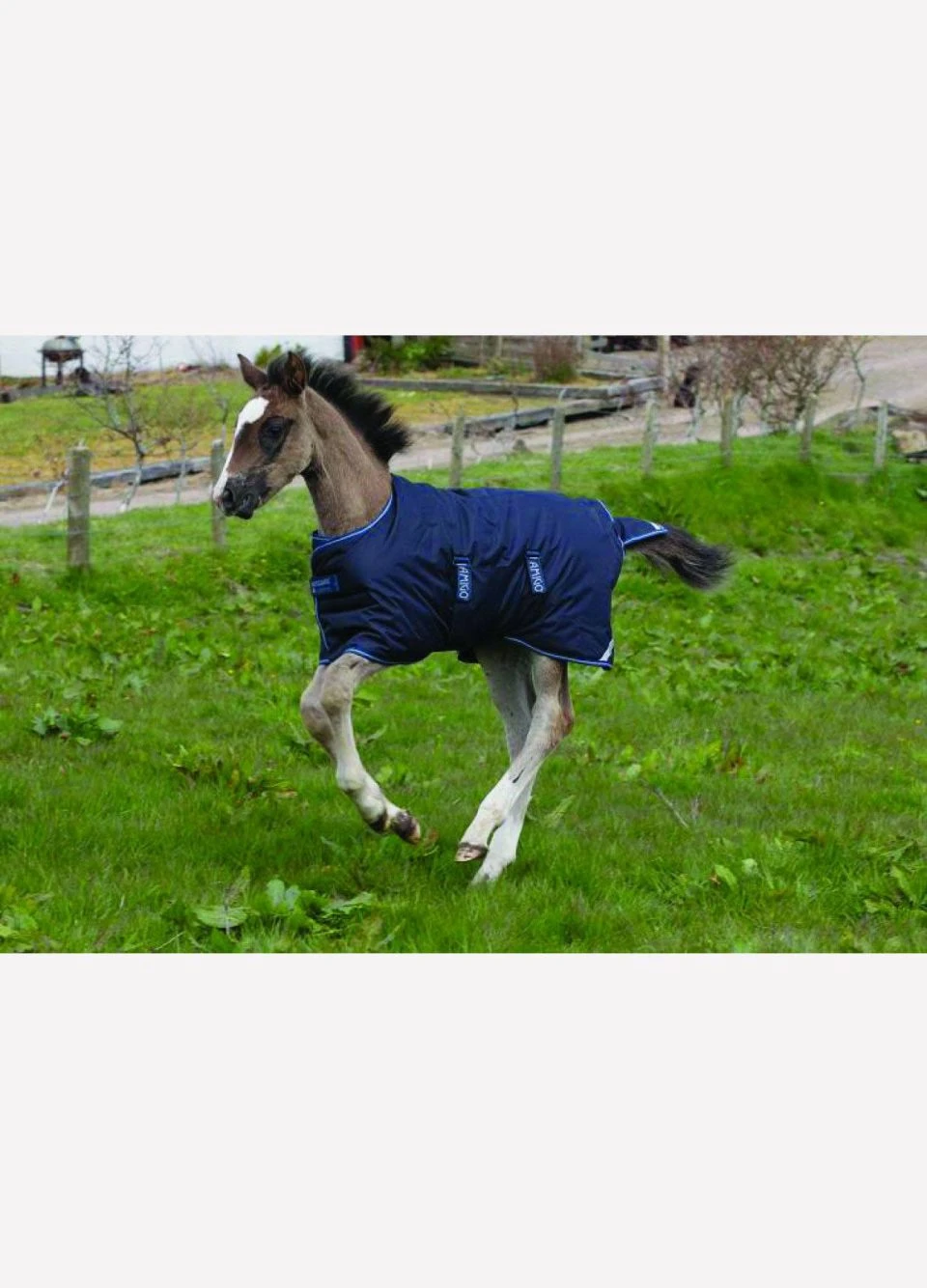 Amigo Foal Turnout/Stable Rug - Navy 2 Amigo Foal Turnout/Stable Rug - Navy - Image 2