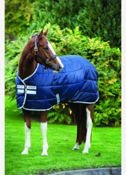 Amigo Medium Insulator Rug - Navy -Equi Guard Horse Shop fm 2014 07 27 02 43 48 41254