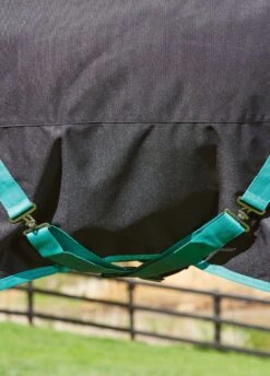 Weatherbeeta Green-Tec 900D Detach-A-Neck Heavy Turnout - Black/Bottle Green -Equi Guard Horse Shop greentechfeatures1rdy
