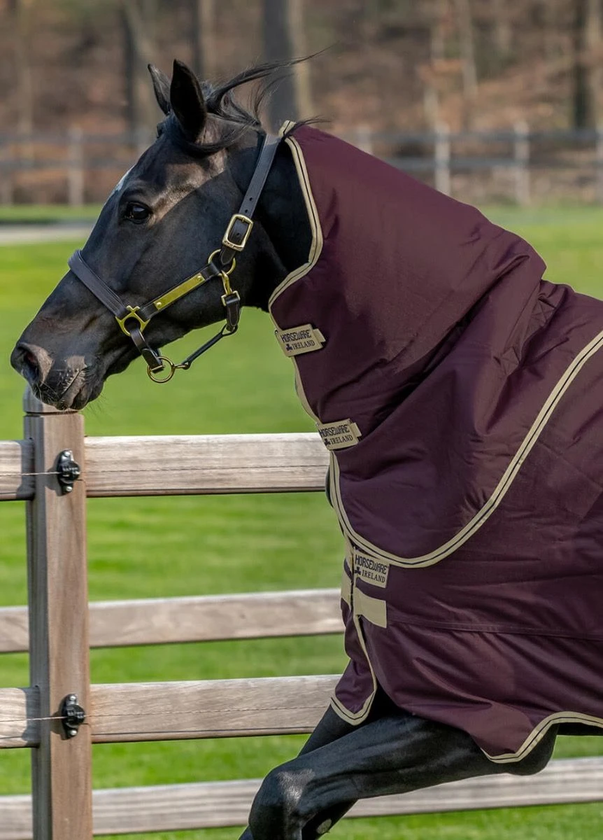 Amigo Hero Ripstop Plus 100g - Fig 2 Amigo Hero Ripstop Plus 100g - Fig - Image 2