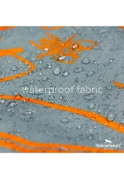 Amigo Three-In-One Evolution - Aqua/Orange -Equi Guard Horse Shop hwevolutionaqua3rdy