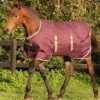 Horseware Ripstop Foal Rug - Fig/Navy/Tan