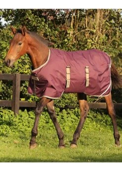 Horseware Ripstop Foal Rug - Fig/Navy/Tan
