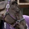 LeMieux Capella Headcollar - Fig