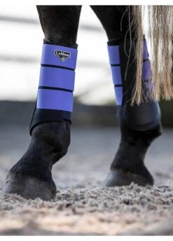 LeMieux Grafter Brushing Boots - Bluebell -Equi Guard Horse Shop lemieux grafter boot bluebell 6rdy
