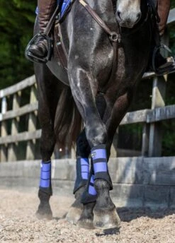 LeMieux Grafter Brushing Boots - Bluebell -Equi Guard Horse Shop lemieux grafter boot bluebell 7rdy