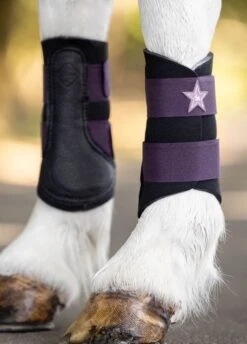 LeMieux Mini Brushing Boots - Fig 7 LeMieux Mini Brushing Boots - Fig -Equi Guard Horse Shop lemieux mini boot fig 4rdy