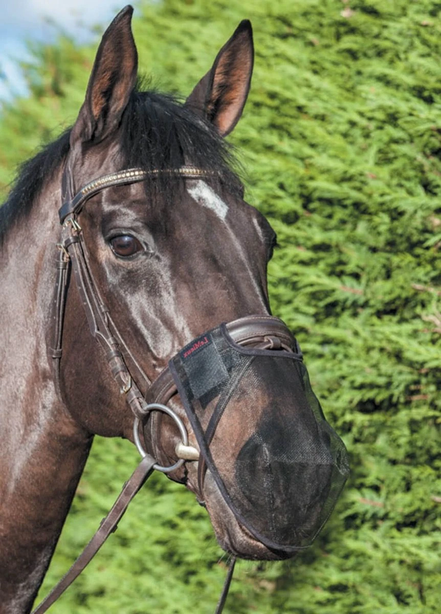 LeMieux Comfort Shield Nose Filter - Brown 2 LeMieux Comfort Shield Nose Filter - Brown - Image 2