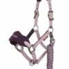LeMieux Vogue Fleece Headcollar & Leadrope - Fig