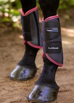 LeMieux Carbon Mesh Wrap Boots - Black/Papaya -Equi Guard Horse Shop lemiex carbon mesh boot papaya 4rdy