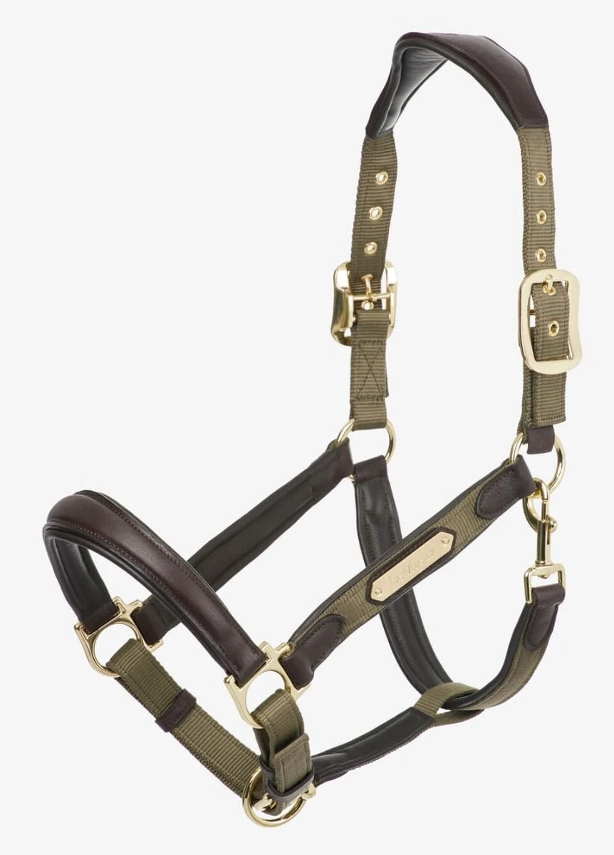 LeMieux Capella Headcollar - Forest 1 LeMieux Capella Headcollar - Forest