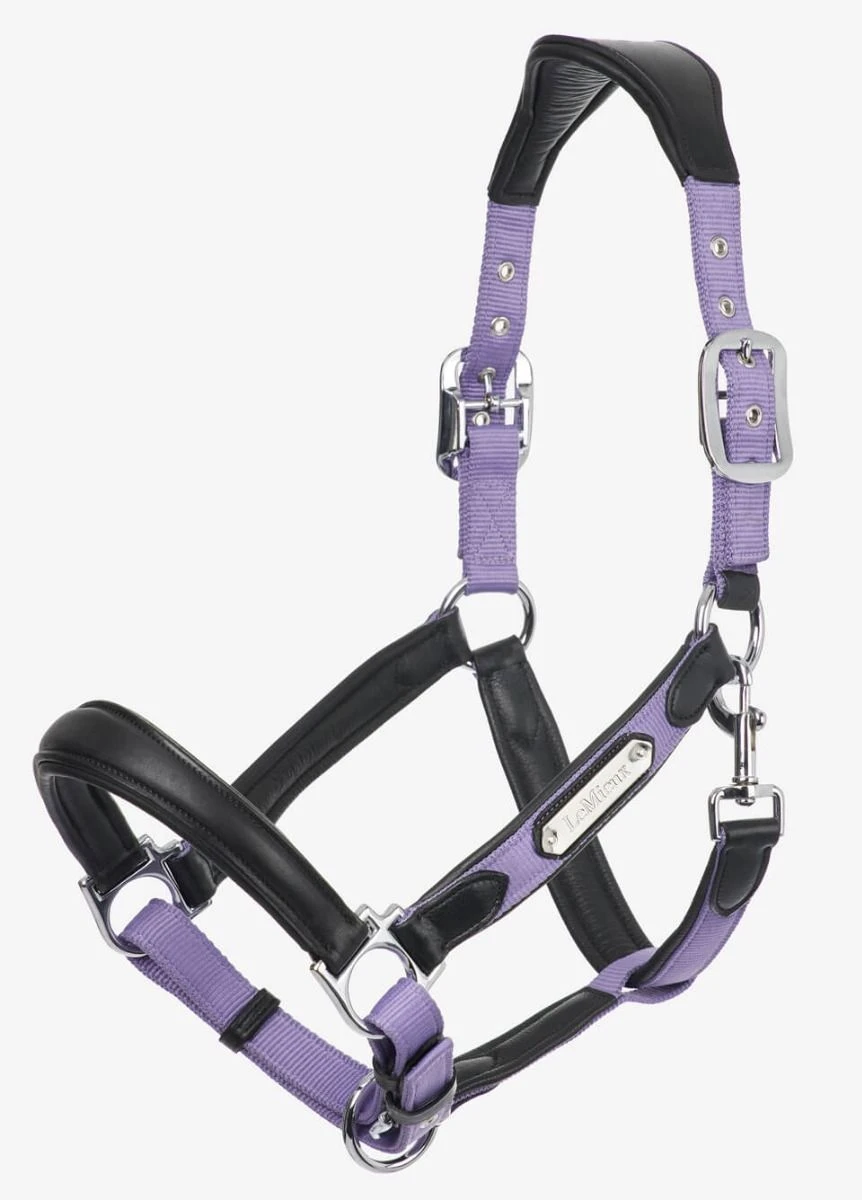 LeMieux Capella Headcollar - Iris 1 LeMieux Capella Headcollar - Iris