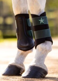 LeMieux Mini Brushing Boots - Spruce -Equi Guard Horse Shop lm mini grafter spruce 3rdy