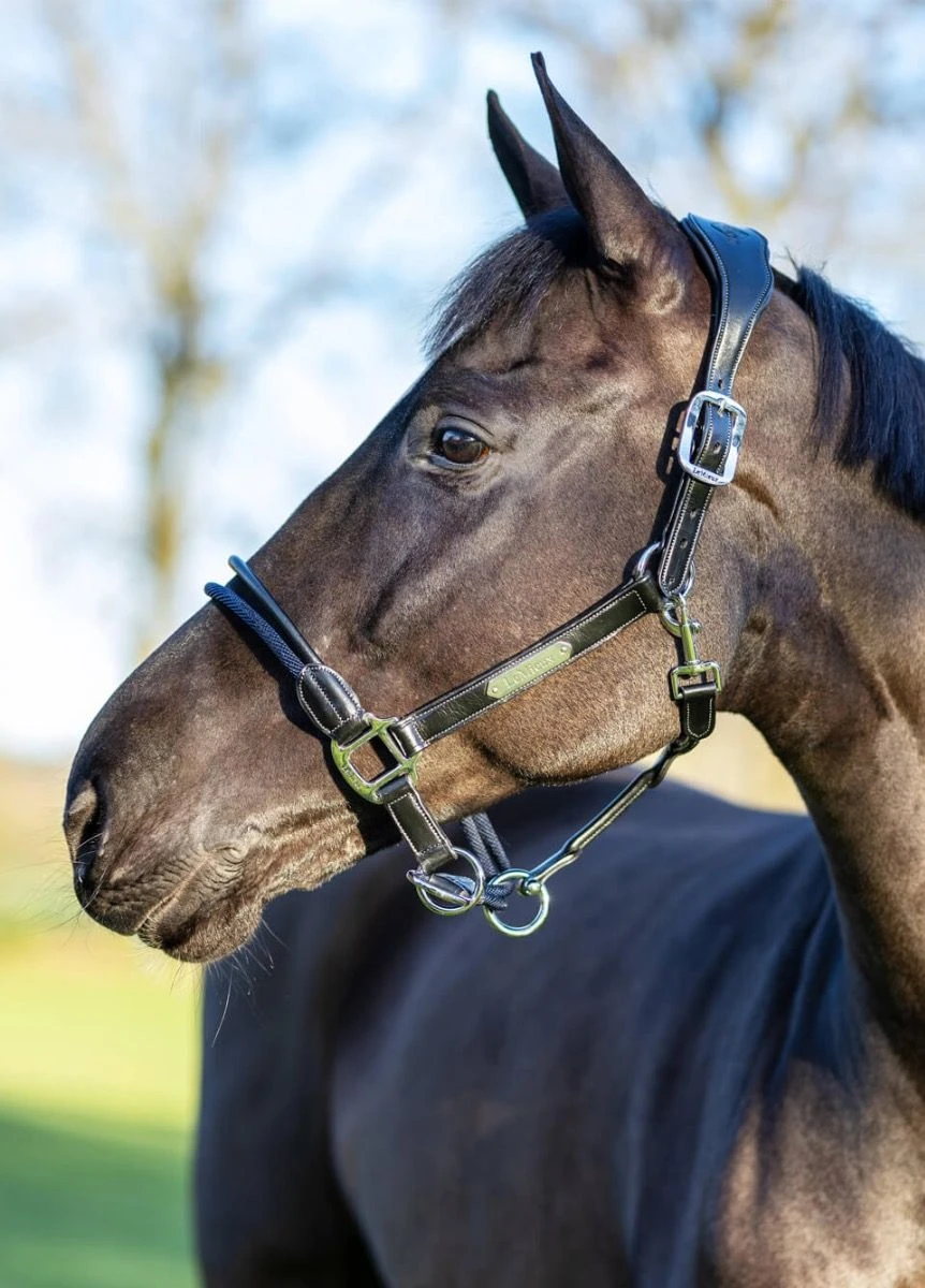 LeMieux Rope Control Headcollar - Black 1 LeMieux Rope Control Headcollar - Black