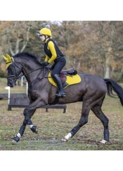 LeMieux Suede CC Square - Dijon -Equi Guard Horse Shop lmccdijon4rdy