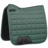 LeMieux Carbon Mesh Dressage Square - Sage