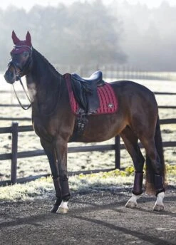 LeMieux Loire Classic Dressage Square - Rioja -Equi Guard Horse Shop lmloiredressrioja3rdy