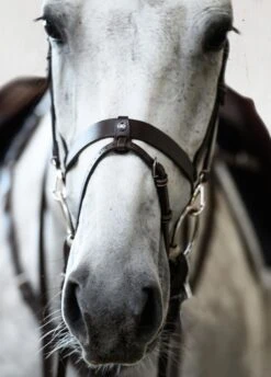 PS Of Sweden London Bridle - Black -Equi Guard Horse Shop londonbrn5rdy