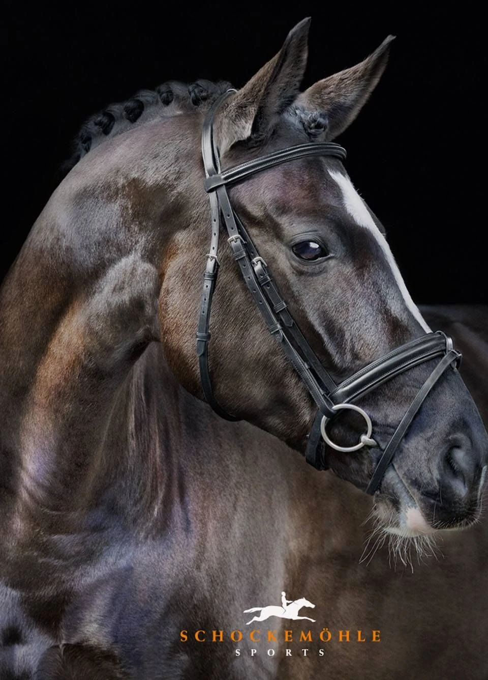 Schockemohle Neo Line Mannheim Bridle - Black 2 Schockemohle Neo Line Mannheim Bridle - Black - Image 2