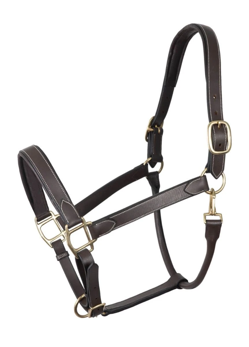 Mark Todd Leather Headcollar - Havana/White 2 Mark Todd Leather Headcollar - Havana/White - Image 2