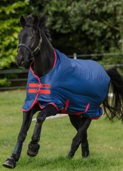 Amigo Mio Medium Turnout - Dark Blue/Red