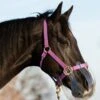KM Elite ThinLine Flexible Filly Grazing Muzzle - Clear