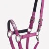 Schockemohle Nice Headcollar - Poison Berry