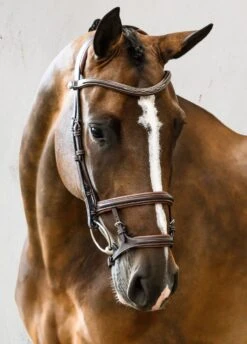 PS Of Sweden Paris Bridle - Brown