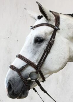 PS Of Sweden Paris Bridle - Brown -Equi Guard Horse Shop parisbrn4rdy